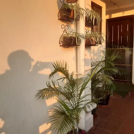 Tiny House For Couple Apartment Madikeri Exterior photo