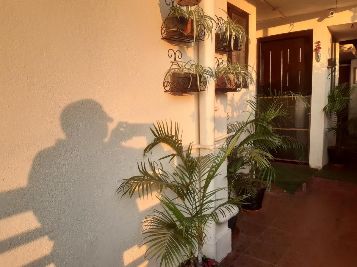 Tiny House For Couple * Madikeri